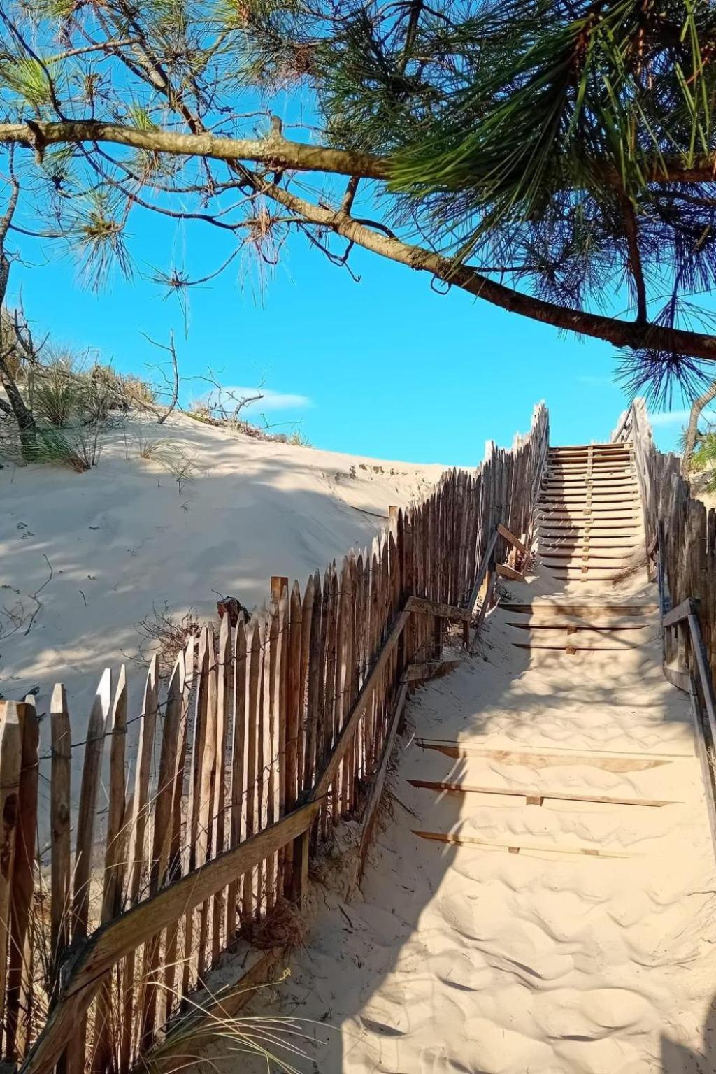 Holiday Home Les Pinasses By Interhome Mimizan-Plage Dış mekan fotoğraf